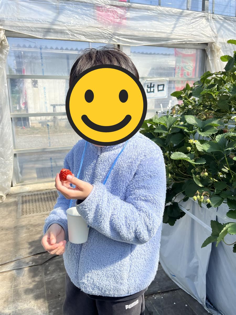 アグリパークいわき観光いちご園のビニールハウスでいちごと練乳カップを持つ小学生