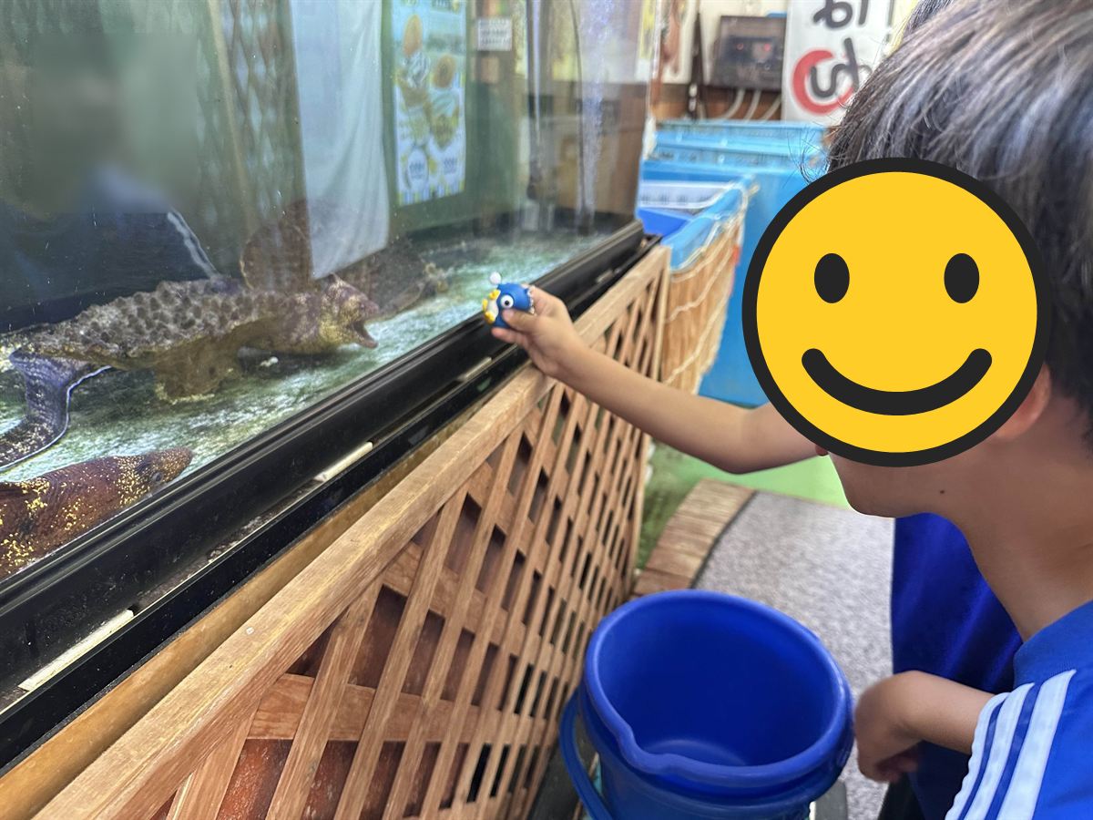 漁港食堂だいぼの店先の生け簀をのぞきこむ長男