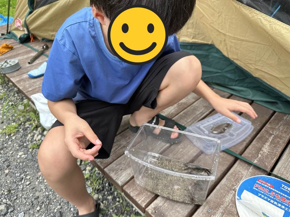 ウッドデッキの上で透明の容器に入った魚をながめるこども
