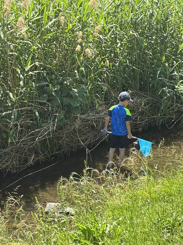 たも網を持って川の岸ぎわをねらう子どもの後ろ姿