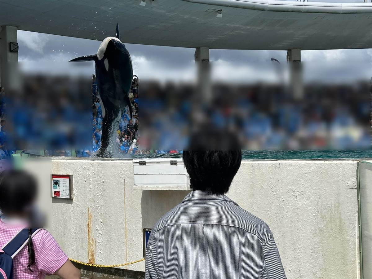 空中に跳び上がるシャチと、青いレインコートで埋まった観客席
