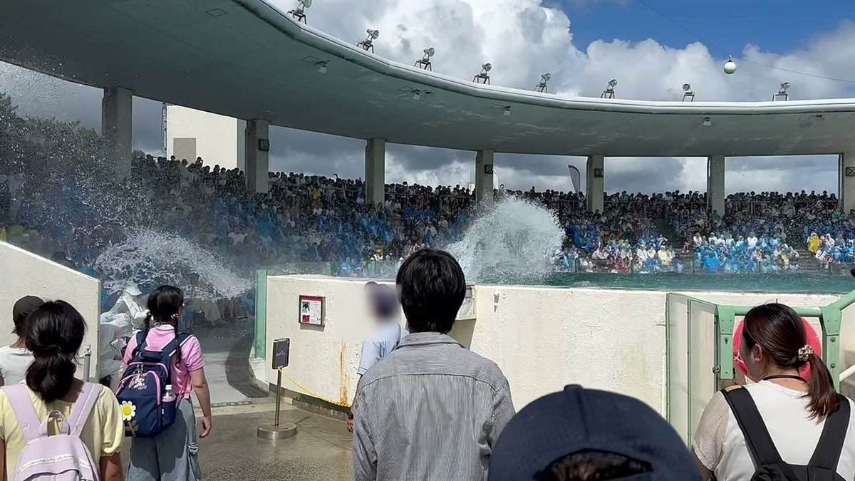 シャチが起こした水しぶきが観客席へ飛んでいく様子