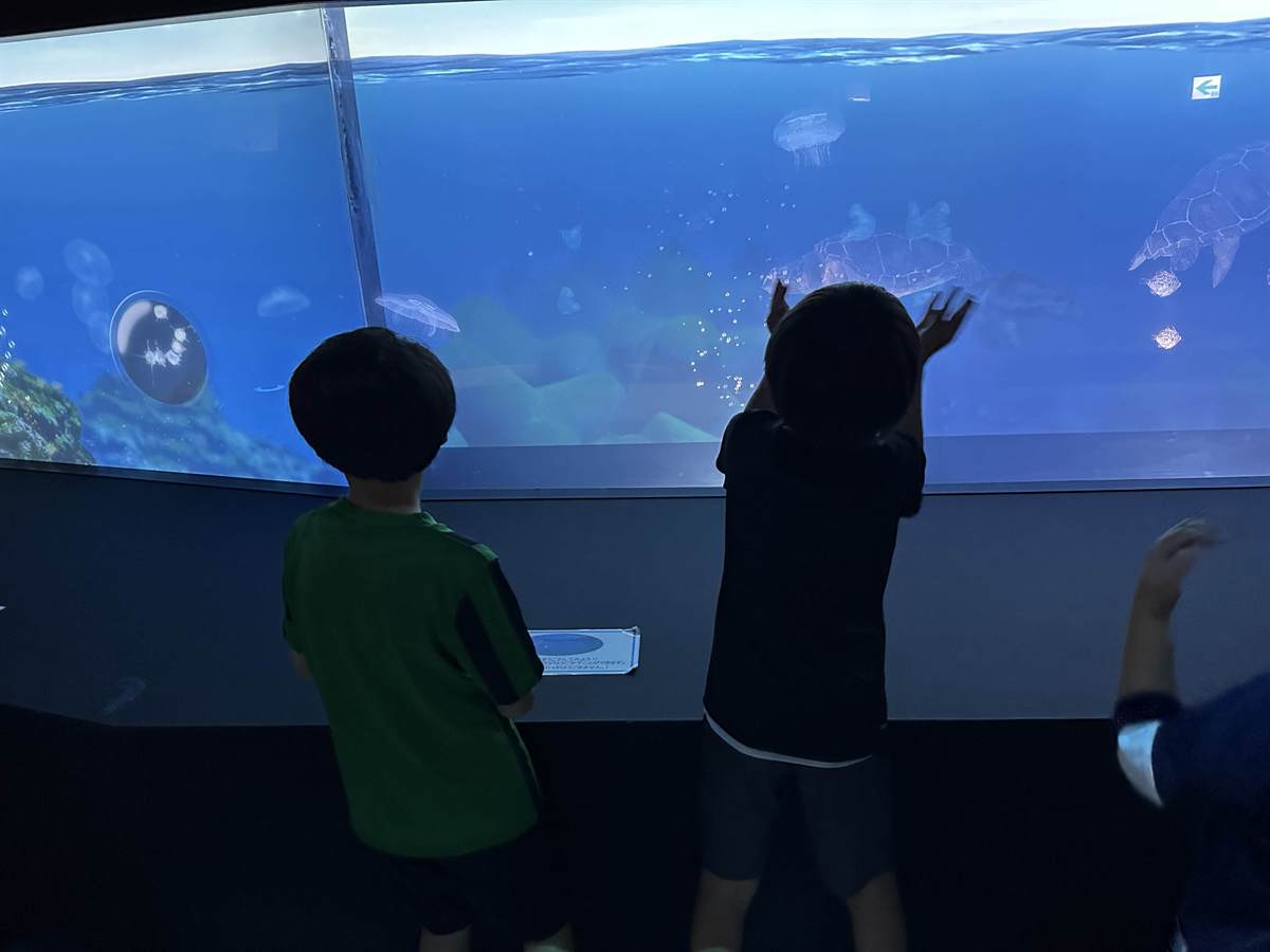 ウミガメとクラゲが泳ぐ大水槽に手をついて見入る子ども2人